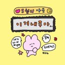 탑 복싱체육관 이미지