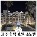 제주도흑돼지꿈마차 | 제주도 조천 호텔 추천 소노벨제주 마운틴뷰 숙박후기 함덕해수욕장 흑돼지맛집