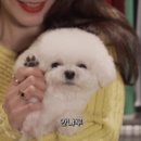 일상글쓰기 이미지