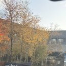[여행 일기] 경기 화성 롤링힐스 호텔 디럭스 킹 룸 파크 뷰 숙박 후기