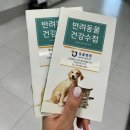 Dr.J동물병원 | 청라에 제이동물병원 후기, 청라에서 동물병원 고민 끝! 인천동물병원 추천