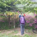 광덕1로 이미지