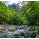 원주 계곡 추천 BEST 3｜치악산 구룡계곡·칠봉유원지·금대계곡 주차장까지 총정리