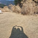 매실사랑펜션 | 대구근교 봉화여행 노천탕 도자기체험 대정연가 카페 팬션