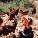 양마농장 이미지