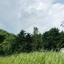 자생식물원 | [공지] 강원도 평창 가볼만한 곳 추천 - 국립한국자생식물원 후기