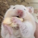 제이짐 휘트니스 이미지