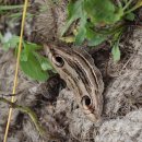 운곡공원 이미지