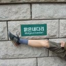 맑은다리 이미지