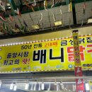 [강릉 중앙시장&amp;월화거리] 배니닭강정, 강릉바삭이네...오징어순대), 곰돌이 왕만두(굴림만두), 월화거리