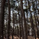 백양산한가족사우나 네이버블로그