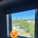호텔 컴피(Hotel Comfy) | [구마모토]&amp;and COMFY HOTEL_앤드컴피호텔 구마모토성 뷰 트윈룸 후기