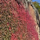 2025년 10월 30일(목) 출석부 / 지심귀명례 이미지