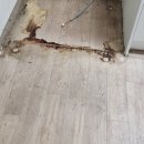 삼성푸른아파트경로당 | 삼성크린의 대전입주청소 대전 중구 문화동 삼성푸른아파트 입주청소 후기