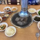 태풍흑돼지 이미지