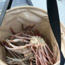 울산 정자항 정자활어직매장 대게 초장집 상차림 위치