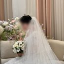 엘페 | [W8] 줄리엣발코니 본식 드레스 피팅 및 엘페라 헤메 본식 후기 내돈내산 🕊️ (+ 현경이모님 추천🫶🏻)