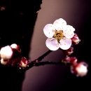 남평농장 이미지