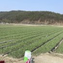 성군포차 이미지