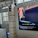 차지킴이 이미지