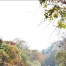 JIRI VALLEY 이미지