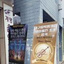 은혜음악교습소 - 강남구 삼성로115길 39 | 은혜음악교습소