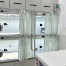 검암동물병원 이미지