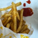 터치홀릭 - 고양시 일산동구 정발산로 15 | 맘스터치 메뉴 추천 🍔 싸이버거·인크레더블·치즈홀릭 솔직 후기