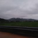 구미 가축인공수정소 | 비 오는 7월의 시골집의 풍경