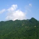 독도여행: 울릉도 즐기기 &amp; 독도 배편 + 준비물 꿀팁 총정리 이미지