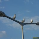 상평초등학교 이미지