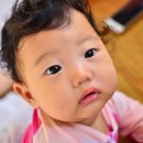 색채의 숲 이미지