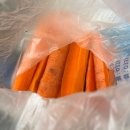 송곡승마교육원 이미지