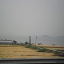 어부손씨민박 이미지