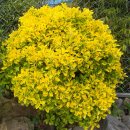 수림농원 이미지