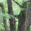 원동축산 이미지