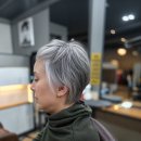 킹스톤글로벌 | 중년 여성 실버그레이 숏컷 후기 – 자연스러운 세련미와 품격을 동시에