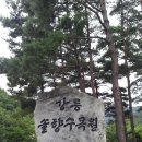 솔향수목원(제3주차장) 이미지