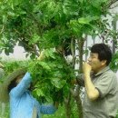 욕지면사무소 이미지