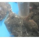 갯마을횟집 이미지