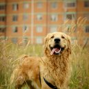 가온동물병원 이미지