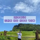SUHARI839 | [제주여행] 둘째와 떠난 제주도 4일차^^