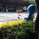 연산초등학교 앞 횡단보도 이미지