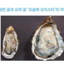 씨에버주식회사 티스토리