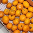 동계자동차공업사 이미지