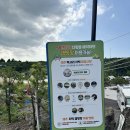 제주올레광고 이미지