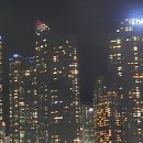 반딧불이 이미지