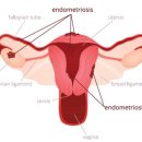 도원한의원 이미지