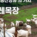이레목장 1 네이버블로그