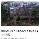 41190-01-07-055 | [천은사 템플스테이] 당일형 산청 하동 절밥 예약 일정 지리산 여행